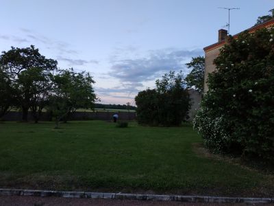 IMG_20190529_212317.jpg