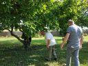 IMG_20190530_095245.jpg
