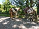 IMG_20190601_134319.jpg
