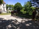 IMG_20190601_134322.jpg