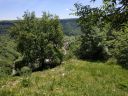 IMG_20190601_134716.jpg
