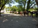 IMG_20190601_141145.jpg