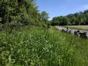 IMG_20190601_152257.jpg